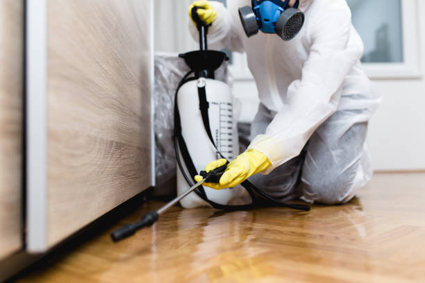 Trusted Tracyton, WA Pest Control Experts