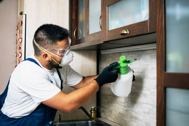 Best Emergency Pest Control  in Tracyton, WA