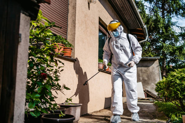 Best Best Pest Control Companies  in Tracyton, WA