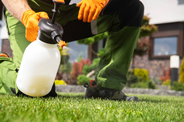 Best Wasp Removal Services  in Tracyton, WA