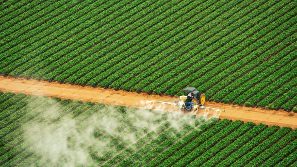 Best Residential Pest Control  in Tracyton, WA