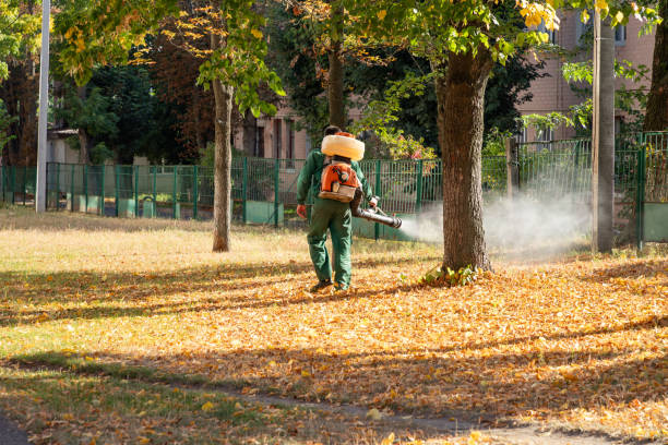 Best Best Pest Control Companies  in Tracyton, WA